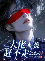 大佬来袭，赶不走怎么办？