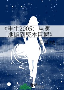 重生2005:從擺地攤到資本巨鱷