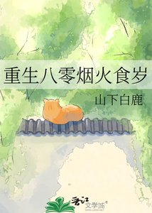重生八零烟火食岁