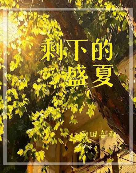剩下的盛夏